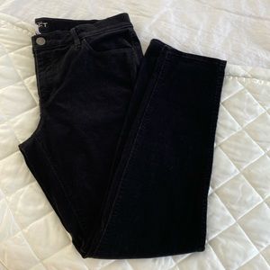 Loft modern skinny corduroy pants, size 31/12